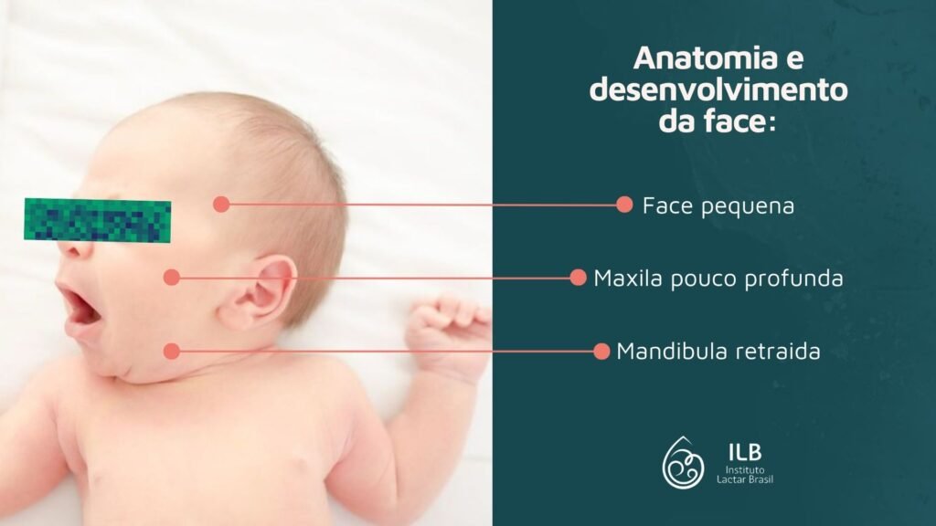 Anatomia e desenvolvimento da face